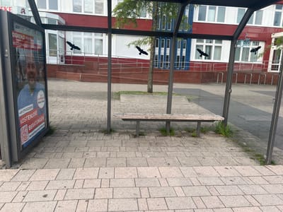 This is an eye-level, medium shot of a bus stop shelter in Greifswald, Germany. The shelter has a metal frame and glass panels. Inside the shelter, a wooden bench is situated on a paved area. The paving stones are rectangular and light gray. In the background, a modern building with red and blue sections and white-framed windows is visible. A tree grows within the shelter. On the glass panels of the shelter, dark silhouetted cutouts of birds are adhered. There are at least five such cutouts visible. To the left, a large advertisement is displayed on the side of the shelter, featuring a man's face and German text including a phone number and email address. The environment appears to be an urban outdoor setting, with a sidewalk and a street visible beyond the building. The lighting suggests it is daytime, with sunlight casting shadows.