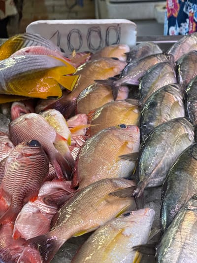 The image presents a detailed, close-up view of a fresh fish display, typical of a market stall in Papeete, France. Numerous whole fish of varying species, sizes, and colors are densely arranged on a bed of ice. Prominent colors include reddish-pink, orange-yellow, and silvery-grey. One distinct fish features a vibrant yellow tail and fins, contrasting with its lighter body. Another fish exhibits dark blue or black eyes. In the upper background, a white rectangular container or sign is visible, bearing the handwritten numerical inscription "1000." A small portion of a patterned textile, possibly clothing, is visible on the far right, suggesting human presence. The scene is static, focusing entirely on the raw fish display.
