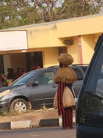 A daytime scene depicts an individual in a traditional masquerade costume standing on the paved shoulder of a road. The costume consists of a large, shaggy, light-brown fiber headpiece, a similar skirt-like garment around the waist, and a red and black vertically striped tunic and trousers. The figure is positioned to the right of a dark grey minivan that is parked on a dirt and grass verge behind a black and white curb. The minivan's front passenger side shows visible damage. In the background, a single-story, light-yellow building is visible, bearing a white rectangular signboard on its facade. The signboard text partially reads "UNIVERSITY OF... ONDO, NIGERIA" and "FACULTY OF AGRICULTURE." Through an open doorway of the building, several indistinct individuals are visible. Above the building, sparse tree foliage is present. A dark-colored vehicle's windshield and A-pillar are partially visible on the far right foreground, suggesting the viewpoint of the photographer. The scene takes place in Ondo, Nigeria.