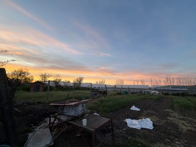 The image captures a rural or semi-rural scene, likely in the city of Liahovo, Bulgaria, at sunrise or sunset. The sky displays a gradient of colors, transitioning from orange near the horizon to blue overhead.
In the foreground, there is a cluttered workspace. A worn metal table sits on uneven ground. On top of the table is a white plastic cup or container. Next to the table is a bathtub resting on an elevated stand or platform. White bags lay discarded on the ground.
The middle ground includes a plot of land that seems to be used for agriculture. Some grass and greenery cover the ground. A fence separates the plot from what appears to be a greenhouse or agricultural structure in the background. A small building is visible beyond the fence on the left.
The background is dominated by a series of greenhouses extending into the distance. A row of trees is visible in the far background. The overall scene suggests a location on the outskirts of a town, where agricultural activities meet residential or semi-industrial areas.