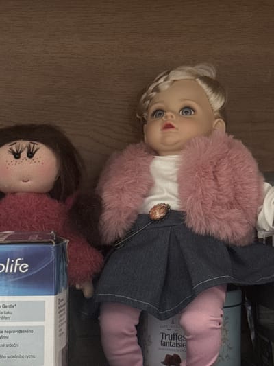 This is a medium shot photograph of two dolls on a wooden shelf. On the left is a fabric doll with dark brown yarn hair, painted eyelashes, and freckles on its cheeks. It is wearing a fuzzy red garment. To the right of the fabric doll is a plastic doll with blonde braided hair, blue eyes, and a pink fur jacket over a white shirt and a denim skirt. The plastic doll is wearing pink tights and is partially obscured by a blue box on the left. The box has text in English and other languages. The background is a wooden shelf. There is no indication of the location in Strakonice, Czechia.
