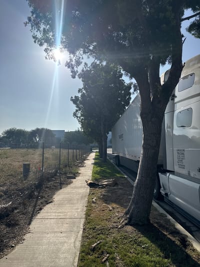 The image depicts an outdoor scene with a large semi-truck parked alongside a sidewalk. A mature tree with a thick trunk and sprawling branches arches over the sidewalk, its foliage creating dappled shade. The truck is white and appears to be a tractor-trailer unit. Visible text on the truck identifies it as "CARGOLINE TRUCKING" and includes various identification numbers and weight ratings. The setting appears to be an industrial or commercial area, with a chain-link fence bordering a grassy area behind the sidewalk. In the distance, the roof of a building can be seen through the trees. The sun is bright, casting distinct shadows and creating lens flare, suggesting it is daytime. The overall mood is utilitarian and slightly overgrown, with the natural element of the tree contrasting with the man-made truck and fence. A small dog is visible lying on the grass near the truck.