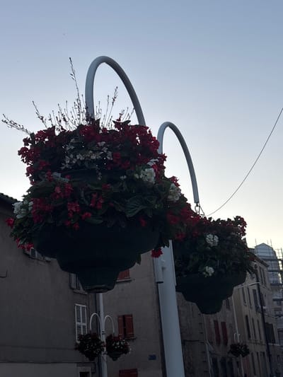 Two large hanging planters overflowing with red and white flowers are suspended from curved white metal poles against a pale sky. One planter is in the foreground on the left, and another is slightly behind it and to the right. The planters are a deep green color. In the background, buildings line a street. Some buildings are old with weathered facades, while one appears to be under construction with scaffolding. A few small birds are visible in the sky. The scene appears to be in the city of Toulon, France.