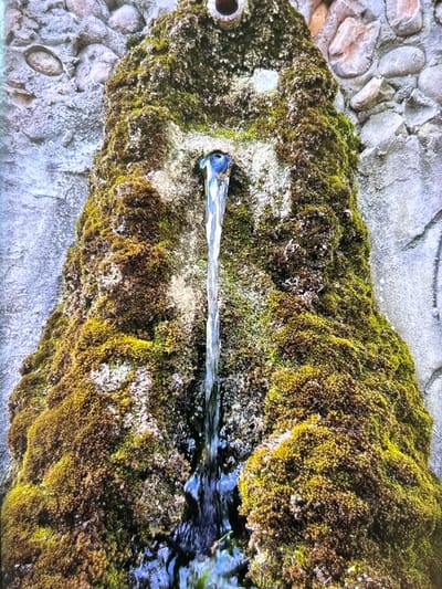 The image displays a close-up view of a functional outdoor water feature, likely situated in Wolverhampton, United Kingdom. A steady stream of clear water emerges from a dark, circular spout on the left, flowing horizontally across the frame. The water forms a narrow channel before broadening and pooling towards the right side of the image, where its surface reflects shades of blue.

The primary subject surrounding the water flow is a dense, lush carpet of moss, adhering to a stone or concrete structure. The moss exhibits a rich palette of greens, ranging from bright, vibrant chartreuse to darker, more muted olive tones, with sporadic patches of brownish and whitish growth intermingled. This organic texture provides a stark contrast to the rugged, grey stonework visible along the top, bottom, and left edges of the image, which appears to be composed of embedded pebbles and rough, worn concrete.

The scene is illuminated by natural daylight, indicating daytime. There are no people visible, and the activity is limited to the continuous flow of water from the spout. The overall impression is one of natural tranquility and the interplay between man-made structures and pervasive organic growth. No discernible text is present in the image.