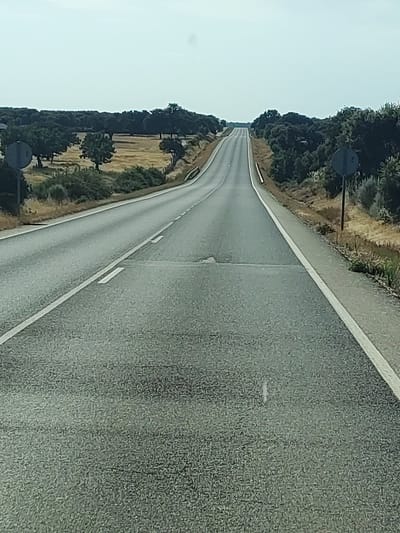 The image shows a two-lane asphalt road winding through a rural, wooded landscape under a clear, bright sky, suggesting daytime with fair weather. The road extends into the distance, disappearing over a hill. The surrounding environment is characterized by low-lying trees and scrubland, with patches of dry, golden grass in some areas, indicative of a possibly dry or late summer season.

On either side of the road, there are signs. On the left, a circular sign with a horizontal bar is visible, likely a traffic sign. On the right, another similar circular sign is present, further down the road. The road itself has white lane markings, with a solid white line on the far right edge of the visible pavement and dashed white lines separating the lanes. The asphalt appears somewhat worn in places, with some minor cracks or patches visible.

The scene conveys a sense of travel and solitude, with no people or vehicles immediately visible. The light suggests it is either morning or afternoon. The vegetation, with its dry appearance, combined with the type of trees (likely holm oaks or similar Mediterranean species), points to a location in southern Europe, consistent with the provided location context of Doñinos de Ledesma, Spain. The overall impression is a quiet, open road journey through a natural, somewhat arid landscape.