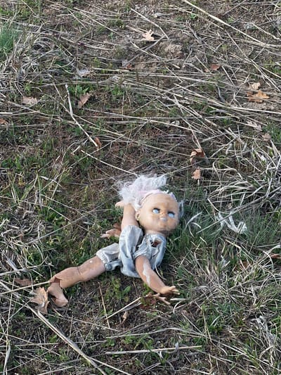 A discarded, damaged doll lies on a ground covered with dried grass, green vegetation, and fallen leaves. The doll has a pale complexion, pale blue eyes, white hair with a pink headband, and is wearing a grey outfit. The doll's leg is broken. The image was taken in an outdoor location. No people are visible. The location is not specified in the prompt, so this information cannot be provided.