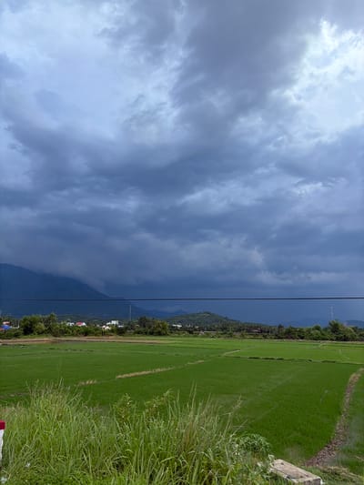 This media file captures a scenic view of a lush green rice paddy field in Nam Ninh Hòa, Vietnam. The landscape is dominated by the vibrant green of the rice crops, stretching out across the frame. In the background, rolling hills and mountains rise, their dark slopes contrasting with the bright sky. A thin black power line runs vertically through the image, dividing the sky from the land. The sky itself is dramatic, filled with heavy, dark clouds that suggest an impending storm or recent rainfall. The lighting indicates it's likely daytime, possibly late afternoon or early evening, given the moody cloud cover. Hints of small buildings and trees are visible along the base of the hills, suggesting a rural or semi-rural setting. The overall mood is one of natural beauty and the power of weather. There is no visible text in the image.