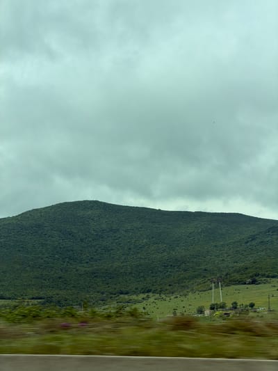 The image depicts a landscape in Tserovani, Georgia, featuring a mountain range densely covered with lush green vegetation. The left side of the frame is dominated by a cloudy sky. On the right, beyond the edge of the mountain, there is a grassy area with scattered trees, shrubs, and what appears to be infrastructure like power line towers. The bottom right of the image exhibits motion blur, suggesting the photo was taken from a moving vehicle.