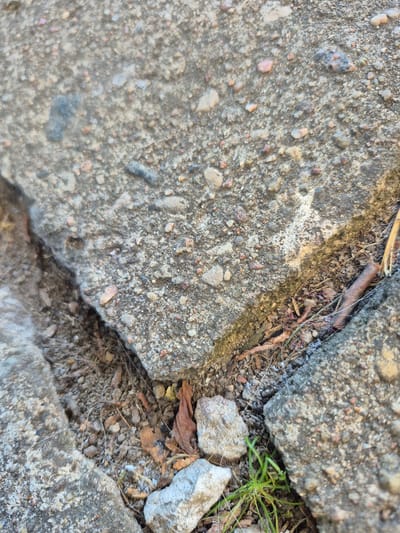 The image shows a close-up view of cracked concrete pavement with debris in the crevices. The concrete surface is rough and speckled with small stones and gravel. In the cracks, there are loose soil, small pebbles, dried leaves, and thin, dry plant stems. A few blades of green grass are visible growing from the ground in the lower right portion of the frame. The lighting suggests an outdoor, possibly sunny, environment. The scene is consistent with a weathered urban or suburban outdoor space. The location is a sidewalk crack in Švenčionys, Lithuania.