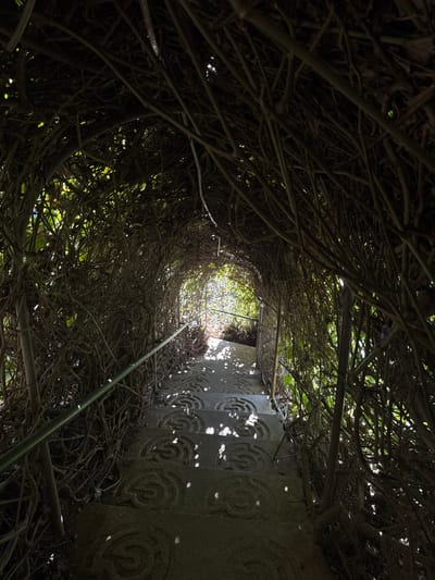 A low-angle shot depicts stone steps with maze-like engravings, leading upwards through a tunnel of dense, tangled vines and branches. Light filters through the foliage, casting dappled shadows on the steps. The tunnel's walls are composed of interwoven plant life, creating a sense of enclosure. A single bamboo pole lies diagonally across the steps.