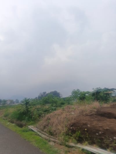 The image displays an overcast outdoor scene within Morrumbala, Mozambique. The upper two-thirds of the frame are occupied by a light grey, cloudy sky. In the foreground, a dark grey asphalt road or path runs diagonally from the lower left. Adjacent to the road, a strip of green grass contains several white or light-colored pipes lying horizontally. To the right, a mound of brown earth and dried, light brown vegetation is present. The midground is characterized by dense green foliage, including various trees and shrubs. A partially obscured, single-story building with light-colored walls and a red roof is visible behind the vegetation on the left side of the midground. To the right of the midground, an informal structure is constructed with wooden poles and covered by green tarp or netting. Faint, dark outlines of distant hills or mountains are visible on the horizon. No individuals, animals, or active interactions are discernible in the scene.