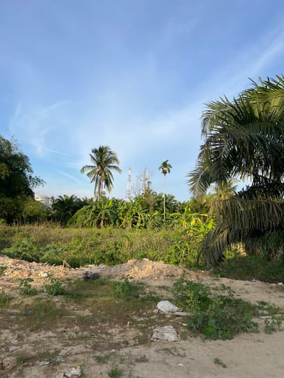 The image depicts an outdoor scene with a focus on a semi-cleared area with vegetation and a clear blue sky. In the foreground, there is dry, cracked earth with sparse patches of grass and some scattered debris, including what appears to be plastic bags and white trash. A mound of dirt and rubble is visible to the left. Behind this, a dense growth of green vegetation, including bushes and smaller trees, dominates the midground. In the background, several palm trees of varying heights are prominent, with one tall, slender palm tree standing out on the left. A lattice-like transmission tower is visible in the distance, slightly to the right of center. To the far left, in the distance, a large white industrial tank or structure can be seen peeking through the trees. The sky above is a clear, pale blue with wispy white clouds. The overall impression is that of a semi-developed or undeveloped area, possibly on the outskirts of a city, with elements of both natural growth and human presence. The location is specified as Alurcucur, Indonesia. There are no people visible in the image, and no discernable actions or interactions are taking place.