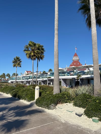 Palm trees line a clear blue sky, framing the iconic red-roofed Hotel del Coronado. The building's white exterior is partially visible behind lush greenery along a paved walkway. The shadows of the palm trees stretch across the path, hinting at a sunny day. The perspective offers a unique upward view, emphasizing the height of the trees and the hotel's distinctive architecture.
