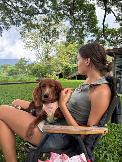 In Tambon San Phi Suea, Thailand, a woman sits in a folding chair outdoors, holding a brown dog on her lap. The woman is wearing a grey ribbed tank top and denim shorts. She has her hair tied back in a bun. The dog, wearing a pink harness, is resting its head on her arm. They are seated on a grassy lawn, with trees and hills visible in the background. The weather appears to be cloudy.