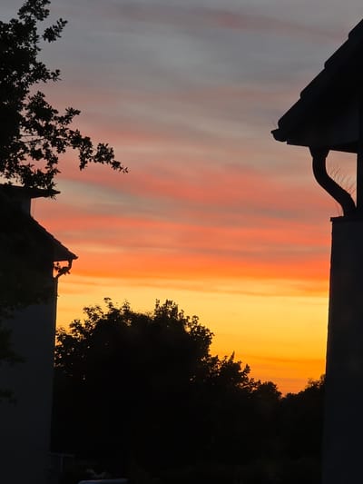 The image, taken in Oyten, Germany, shows a vivid sunset. The sky exhibits a color gradient from orange to red and gray. Silhouettes of trees and buildings are visible in the foreground, framing the sky. A rooftop and gutter of a building are visible in the upper left, with a bird prevention system attached to the gutter. The overall composition emphasizes the colorful sunset as viewed through the structures of a residential area.