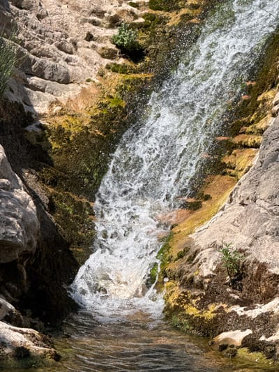 The media file captures a close-up, vertical view of a waterfall cascading down a rocky, moss-covered cliff face in Mazići, Montenegro. The water is white and frothy as it tumbles over the textured stone, creating a dynamic and energetic flow. Sunlight glints off the water droplets, adding a sparkling effect.
The rocks exhibit a variety of textures and colors, with patches of dark green moss and lighter shades of brown and grey stone. Some areas of the rock appear damp from the spray of the waterfall. A few small, green plants are visible clinging to the cliff face, adding touches of life to the rugged landscape. The overall scene suggests an outdoor natural setting, likely during daylight hours given the bright illumination and shadows. The focus is entirely on the natural elements of the waterfall and the cliff, with no human figures or man-made objects visible. The image conveys a sense of natural beauty and the raw power of water in motion.