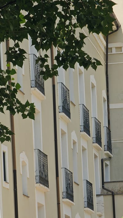 The image shows a close-up view of the facade of a light-colored building in Alhama de Aragón, Spain, with dark green leaves from a tree obscuring the top left portion of the frame. The building features multiple identical windows or balconies with black wrought-iron railings, each topped with a curved decorative element. The windows are set within recessed frames with white trim. Vertical dark brown downspouts are visible running along the facade. The building appears to be several stories high, and a portion of an adjacent, differently colored building is visible on the right side of the frame. The scene is outdoors on a bright day, as indicated by the lighting and the shadows. There are no people or animals visible in the image.