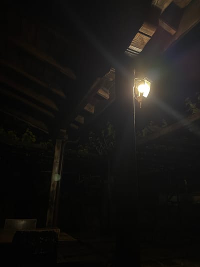 A low-angle shot depicting a dimly lit, possibly outdoor, wooden structure at night. A single, caged light bulb illuminates the immediate area. Vines and foliage are visible, intermingling with the wooden beams. The scene evokes a sense of quiet darkness. The city and specific location are impossible to identify from the picture alone. No people or interactions are visible.