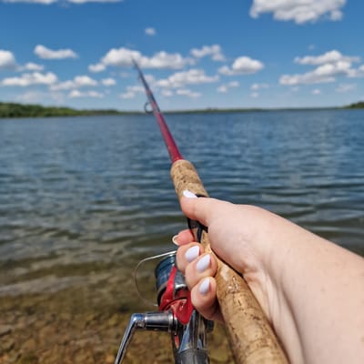 The image shows a close-up of a person's hand holding a fishing rod over a body of water. The fishing rod has a cork handle and a red reel. The water appears to be a lake or a large pond, with ripples on the surface and a rocky shoreline visible in the foreground. The background consists of a lush green treeline and a bright blue sky with scattered white clouds. The scene is set outdoors, under a clear, sunny sky, suggesting a pleasant day for fishing. The location is identified as Gorni Dabnik, Bulgaria.