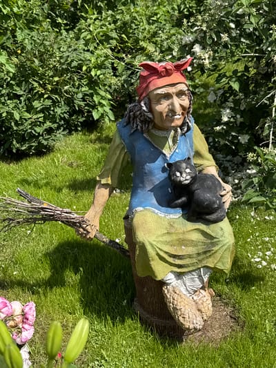 A garden gnome, dressed as a witch, sits on a stump in a grassy area, with a black cat in her lap. The gnome wears a red headscarf, a blue vest over a yellow tunic, and a green skirt. Her right hand holds a broom made of twigs. The gnome has a wrinkled face with an open mouth and a visible tooth. The cat is black with white markings on its face. The background consists of lush green bushes and grass, with some white flowers scattered among the foliage. In the foreground, to the left, are some pink flowers and green plant buds. The scene is brightly lit by sunlight, casting shadows on the grass. The gnome and cat appear to be a decorative garden statue. The provided context of the location "Земледелец-90 Спк, Russia" indicates this is likely a rural or suburban setting, possibly a dacha or private garden in Russia.