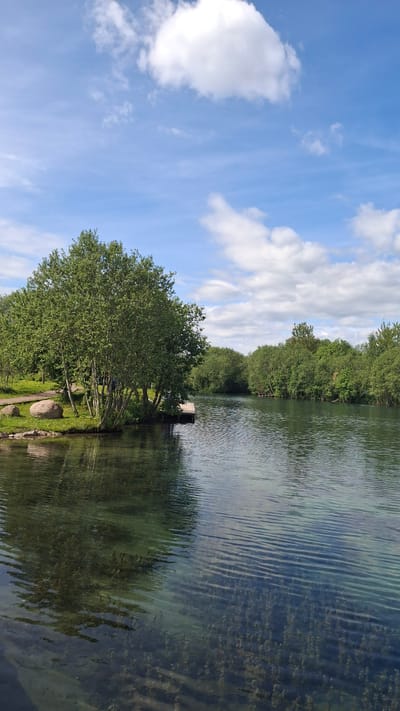The image displays a serene outdoor landscape, likely a river or large pond, under a bright blue sky. When viewed with the correct orientation (rotated 90 degrees clockwise from its vertical presentation), the sky occupies the upper portion of the scene. It is a vibrant blue, dotted with scattered, fluffy white cumulus clouds, suggesting fair weather.
The body of water dominates the right side of the image, appearing calm with gentle ripples on its surface. The water is quite clear, allowing glimpses of submerged greenery and the bottom in shallower areas, as well as reflecting the sky and surrounding trees.
The left bank of the water body, closer to the viewer, is lush with dense, green trees featuring full canopies. A few large, smooth, light-colored rocks are visible along the water's edge, partially integrated into the green grass and foliage. A dirt path or track can be seen winding alongside the bank, amidst the vegetation.
Further along the water, on the opposite bank (appearing on the left side of the body of water), more green trees line the shore, extending into the distance. A small, wooden dock or pier juts out a short distance into the water from this far bank.
The scene depicts a peaceful, natural environment bathed in bright daylight, indicative of late morning or afternoon. There are no people visible, and no specific activities are taking place. The overall atmosphere is one of tranquility and natural beauty. No visible text is present in the image. The setting suggests a park or a natural area within or near Kipen, Russia.