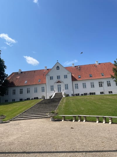 The image depicts the exterior of Marienlund Manor, a historical building located in Horsens, Denmark. The manor is a large, white, two-story structure with a red tile roof and numerous windows. A grand stone staircase leads up to the main entrance from a gravel courtyard. The building is surrounded by a well-maintained green lawn. In the foreground, there are two stone planters and a long, stone bench. The sky above is a clear blue with a few scattered white clouds. A bird is captured in flight in the upper right portion of the frame. The overall impression is one of a stately and well-preserved historical property.