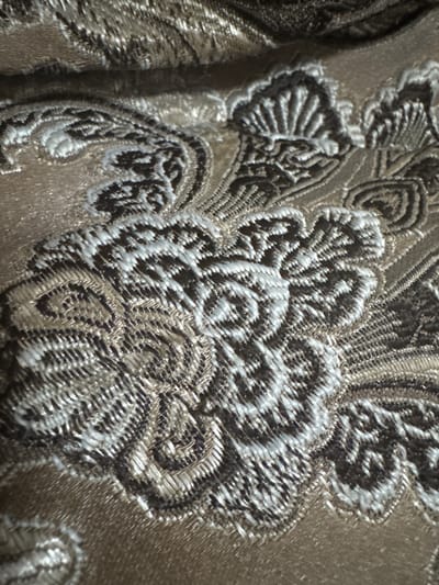 This is a close-up, macro photograph of a textured fabric with an ornate, embroidered pattern. The pattern appears to be floral or paisley-like, rendered in shades of silver, white, and a darker metallic gray or black, set against a shimmering, taupe-colored background fabric. The embroidery is dense and detailed, creating a raised, three-dimensional effect. The lighting highlights the texture of the threads, with some areas appearing brighter and more reflective than others. The image is focused on a section of the fabric, showing the intricate weaving and the play of light and shadow across the design. There are no people, animals, or clear environmental cues visible, as the subject is solely the fabric itself. The context "Змейка, Russia" provides a geographical location but does not directly inform the visual content of the image, which is abstract and focused on material detail. There is no visible text in the image.