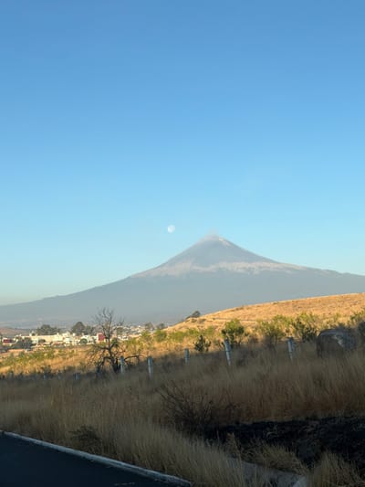 The image displays a panoramic landscape scene captured in daylight near San Bernardino Chalchihuapan, Mexico. A large, conical volcano, consistent with Popocatépetl, dominates the midground, its slopes appearing dark gray with lighter areas near the summit, which is partially obscured by a small cloud or plume. A bright crescent moon is visible in the clear, light blue sky to the left of the volcano's peak.
In the foreground, a rolling hillside extends across the lower portion of the frame, covered primarily in dry, golden-brown grasses. A line of light-colored fence posts connected by wire traverses this hillside horizontally. Interspersed within the grasses are sporadic green shrubs and patches of darker vegetation. A prominent, leafless tree with dark, gnarled branches stands in the lower-left midground. A dark, rounded boulder is situated on the far right of the hillside.
In the distant lower-left, at the base of the volcano, a cluster of light-colored buildings with red or brown roofs represents a town or settlement, consistent with parts of San Bernardino Chalchihuapan. A tall, slender structure, possibly a tower, rises from within this settlement.
The immediate foreground shows a section of a dark, paved surface, likely a road or shoulder, with a distinct light gray curb on its right edge. Adjacent to this paved surface, on the right, are dry grasses and areas of dark, scorched earth. The scene is illuminated by natural light, suggesting early morning or late afternoon conditions, with long shadows cast across the foreground hillside. No human or animal subjects are present, and no discernible actions or interactions are occurring.