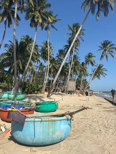 The image displays a sunlit beach scene in Thành phố Phan Thiết, Vietnam. In the immediate foreground, five traditional Vietnamese round fishing boats, or 'thúng chai', are beached on light brown sand. The closest boat is a large, weathered light blue vessel with an oar resting across its rim and a dark blue cloth draped over one side. Behind it, other 'thúng chai' are visible in red-orange, light green, and dark green, some containing tarps or fishing equipment.
The midground features a sandy beach extending towards the ocean, bordered on the left by a dense stand of tall palm trees with green fronds, many exhibiting a noticeable lean. Underneath these trees, various makeshift structures are present, including a straw-roofed hut and wooden frames, surrounded by colorful bean bag chairs in shades of yellow, orange, and blue.
Approximately five individuals are visible on the beach. One person, wearing a dark shirt and white shorts, walks away from the viewer on the sand towards the water. Another individual, dressed in dark clothing, walks on a low concrete barrier or seawall located along the right edge of the beach, near the water's edge.
The ocean occupies the far right, displaying small waves breaking near the shore. The background is dominated by a clear, vibrant blue sky, with additional palm trees extending into the distance. Faint outlines of distant coastal structures are discernible on the horizon.