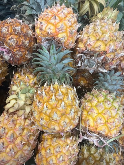 The image presents a dense cluster of pineapples, primarily yellow and brown in color, with green leaf crowns visible among them. The scene suggests a market or grocery setting, potentially in Kadima-Zoran, Israel, given the prompt's context. The pineapples are arranged in a pile, indicating they are either for sale or have been recently harvested and are awaiting processing or distribution. The image captures the natural textures and colors of the fruit, with details showing their scale-like skin and spiky crowns. No people are directly visible, so the focus remains solely on the arrangement and state of the pineapples.