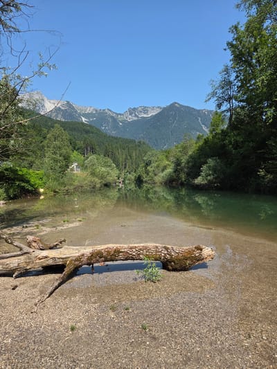 The image depicts a serene natural landscape near Landl, Austria. In the foreground, a large, weathered log rests on a pebbly shore, partially submerged in shallow, clear water. The log is covered in moss and exhibits signs of decay. Beyond the shore, a tranquil river flows, reflecting the surrounding greenery and the clear blue sky. The riverbanks are densely populated with lush trees and vegetation. In the middle ground, a small, stone building with a white roof is visible nestled amongst the trees. Further in the background, a majestic mountain range dominates the horizon. The mountains are covered in a mix of evergreen forests and rocky outcrops, with patches of snow visible on the highest peaks. The overall atmosphere is peaceful and idyllic, showcasing the natural beauty of the Austrian countryside. There are no people or animals visible in the image.
