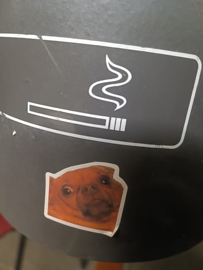 The image shows a close-up of a black, curved surface, possibly a trash can or a similar object. A white graphic depicting a cigarette with smoke is prominently displayed on the surface. Below this graphic, a sticker of a pug's face is attached. The pug has large, round eyes and a slightly anxious expression. The background is dark and out of focus. The image does not provide any specific information about the location in the city of Bruchsal, Germany.