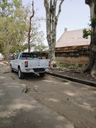 The scene depicts an exterior view adjacent to Kungulu School in Zambia. A white, four-door pickup truck with a black roll bar is parked on a worn, partially paved and dirt road, angled away from the camera, displaying its rear. No license plate is visible on the truck's chrome bumper. The road surface exhibits potholes and exposed earth, particularly on the right side where it transitions to a dirt path with prominent tree roots.
Multiple mature trees with varying bark textures and green foliage are present throughout the image, casting distinct shadows on the road. A tall, slender, leafless tree stands in the mid-ground. In the background, behind a low, dark-stained wall, the building identified as Kungulu School features a large, sloping corrugated metal roof with a small chimney-like structure at its apex. Several arched openings or windows are visible along the building's facade above the wall. The environment is brightly lit by overhead sunlight. No individuals are present in the image.