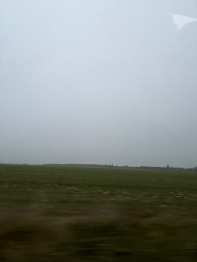 The image captures a rural landscape, likely viewed from a moving vehicle, with the scene divided vertically into two distinct areas. The left half of the frame is dominated by a bright, near-white, light grey surface, possibly an interior element like a window frame or part of a dashboard. A small, lighter, irregular shape, perhaps a reflection or a minor detail, is visible in the top-left corner of this section.

The right half of the image reveals an exterior scene under an overcast sky. A uniform light grey sky occupies the upper portion of this outdoor view, suggesting cloudy or hazy weather. A thin, dark line of trees or bushes forms a distant horizon, separating the sky from the land. Below this tree line, a wide green field stretches into the foreground. The immediate foreground and the rightmost section of the field are heavily streaked and blurred vertically, indicating significant motion, consistent with the image being taken from a fast-moving vehicle.

There are no people or discernible objects other than the natural landscape and the interior surface. No text is visible. The time of day appears to be daytime, given the light, but without direct sunlight. The scene conveys a calm, muted atmosphere characteristic of an overcast day in a rural setting, specifically near Étréchy, France.