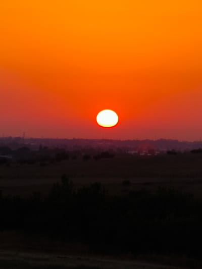 The image captures a sunset over a landscape that could be consistent with the area around Shaalvim, Israel. The sky is a vibrant gradient of orange and red, with the sun appearing as a bright, white disc near the horizon. Below the sky, a silhouetted treeline separates the sky from a darker, undulating foreground that appears to be fields and possibly scattered buildings. The overall impression is one of a rural or semi-rural setting at dusk.