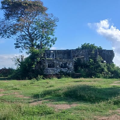 The image displays the weathered ruins of a multi-level stone and concrete structure, heavily integrated with vegetation, set against a clear blue sky with scattered white cumulus clouds, within the city of Tanga, Tanzania. A large, mature tree with a dense canopy of green and reddish leaves stands prominently to the left of the ruins, partially obscuring the upper sections. The lower part of the ruined building exhibits rough-hewn stone block masonry, featuring two dark, rectangular window voids. The upper sections consist of deteriorated concrete or coarse masonry, presenting an irregular, fragmented outline, with a single, smaller rectangular opening visible on the upper left. Dense green shrubs and foliage are growing directly on and around the foundation and walls of the structure. The foreground and midground are composed of an unkempt expanse of green grass, interspersed with visible dirt paths and worn ground patches. No individuals or active subjects are present in the scene.