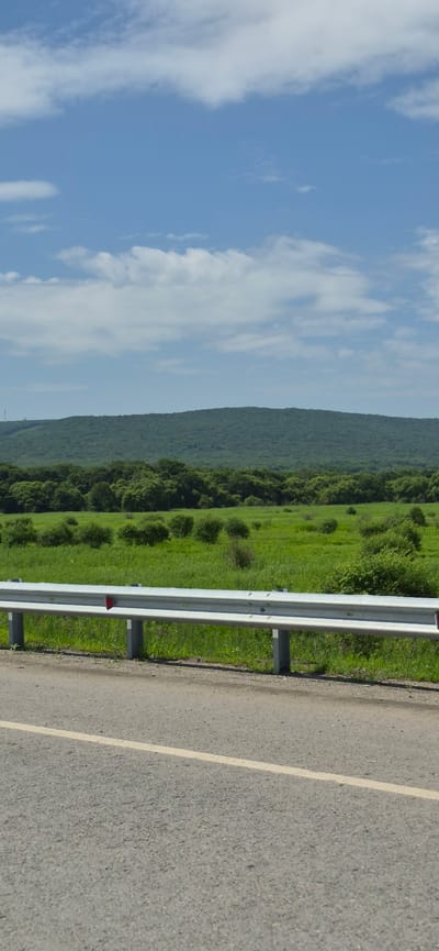 The image shows a roadside scene with a guardrail separating the road from a grassy field. In the background, there is a gently sloping, tree-covered hill under a partly cloudy blue sky. The road is asphalt with a yellow line marking the lane. The guardrail is made of metal and is supported by gray posts. The field is a vibrant green, with scattered bushes and some taller trees at the edge of the hill. There are no people or animals visible in the image. The location is identified as being in the city of Gorodechnoe, Russia.