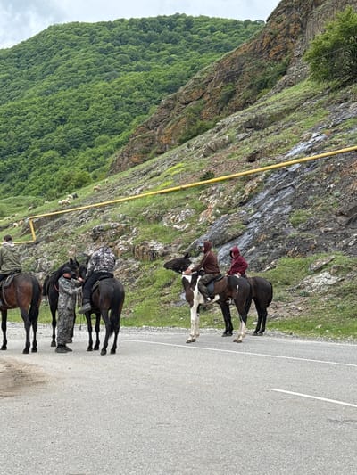 Horses with riders travel on a road beside a mountain, near the city of Каменномостский, Russia. The mountain on the left has both rocky and green vegetated sections. Sheep graze beside a yellow utility pipe running vertically alongside the mountain. The road is gray and has a painted white line marking the center. Three riders on horses are in the foreground. The riders are wearing hooded jackets and trousers. There are two more horses and riders further up the road.