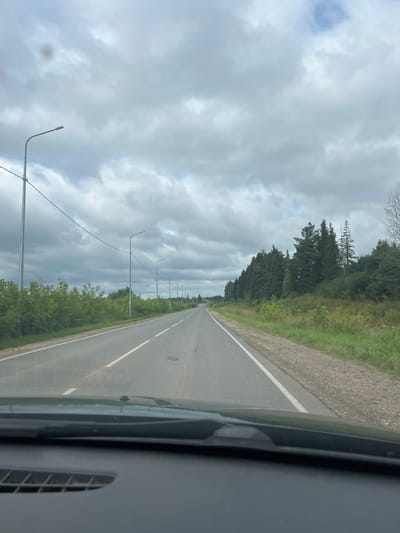 The image captures a view from inside a vehicle driving along a paved road in Yakshur-Bod'ya, Russia. The road is lined with green vegetation on both sides, with a dense forest of pine trees to the right and lower brush and trees to the left. Several streetlights are visible along the left side of the road, interspersed with power lines. The sky is overcast with heavy gray clouds. The dashboard of the vehicle is visible in the foreground, partially obscuring the view. The road appears to be a two-lane highway with white markings indicating the lanes. The overall scene suggests a rural or semi-rural setting.