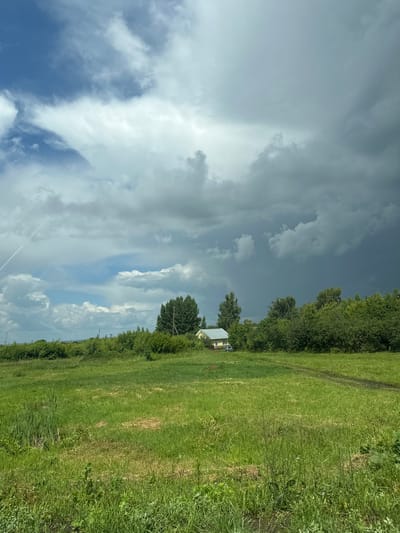 The image captures a rural landscape under a dramatic sky. In the foreground, a vast expanse of lush green grass dominates the scene, with some areas appearing dry and matted. Tall reeds grow in clumps on the left side, and a dirt track cuts through the grass on the right, leading towards a small cluster of trees and a building.
In the middle ground, a modest, light-colored house with a gray roof is visible, partially obscured by dense green foliage. A silver car is parked in front of the house. Behind the house, a line of trees forms a thick hedge, separating the open field from what appears to be more distant vegetation.
The sky is a significant element of the image, with a stark contrast between the bright, partly cloudy blue sky on the left and the dark, ominous storm clouds gathering on the right. A faint contrail from an aircraft is visible in the upper left quadrant.
The overall impression is of a tranquil rural setting on the verge of a weather change, with a clear demarcation between a sunny area and an approaching storm. The location is identified as the city of Ardatov, Russia.