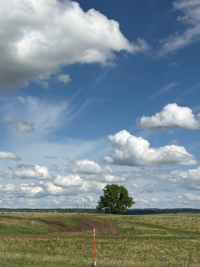 The image depicts a field with a tree in Udmurtskoe Kizekovo, Russia. A red and white pole lies on the ground. Tire tracks mar the field leading towards the tree. The sky is blue with scattered white clouds. Power lines are visible in the distance.