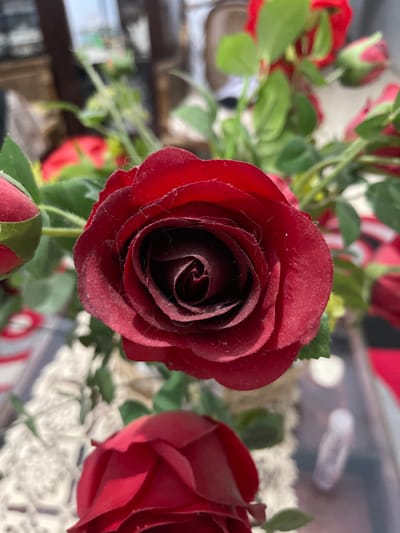 The image shows a close-up view of a dark red rose, likely artificial, with its petals unfurling. The rose is dusty, with fine white fibers visible on its velvety surface. The center of the rose is a deep, dark swirl. Several other red roses and green leaves are visible in the background, some out of focus. One rosebud is partially visible in the lower portion of the frame. The background is blurred and suggests an indoor setting with some decorative elements, possibly lace or doilies, and indistinct shapes that could be furniture or other objects. The lighting appears to be natural, casting shadows and highlighting the texture of the rose. There is no visible text in the image. The setting is Bandarbireuen, Indonesia.