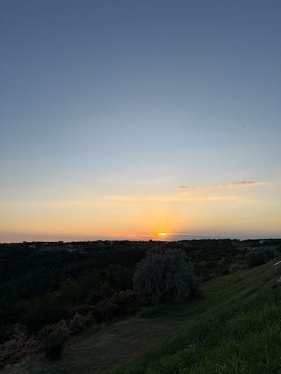 The image captures a sunset over a landscape with a village in the distance. The sky is a gradient of blue and orange, with the sun partially visible near the horizon. Below the sky, a dense forest covers the terrain, with houses dotted among the trees, suggesting a residential area within the village. The foreground features a grassy slope, with various bushes and trees. The overall impression is a peaceful, natural setting with human habitation integrated into the environment. The location is the city of Topola, Bulgaria.