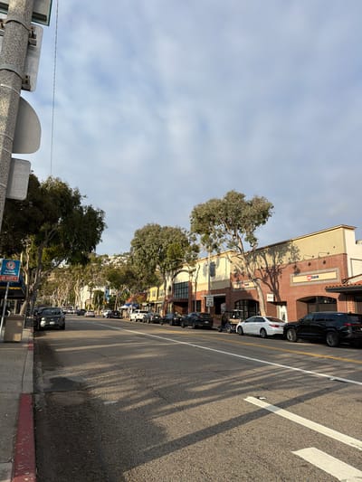 This is a street-level, medium-angle, outdoor photograph of a street in Laguna Beach, California. The street is paved and has a white lane divider. The right side of the street has a row of businesses with brick exteriors and large windows. One of the businesses has a "US Bank" sign. There are several cars parked on the right side of the street and some parked on the left side. Trees line the street on both sides, casting shadows on the pavement. In the background, there are hills with houses. The sky is partly cloudy. A sign indicating public parking is visible on the left side of the image.