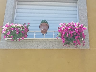 This is a daytime, eye-level shot of a window with a beige, textured wall surrounding it, located in Lumbrales, Spain. The window has a grey, speckled frame and a light blue, slatted shutter. In front of the shutter, a white decorative railing is visible. Two planters filled with vibrant pink petunias are suspended from the railing, one on the left and one on the right side of the window. Between the two planters, a single, inverted terracotta pot hangs from a black metal bracket. The pot is empty except for a small amount of green foliage at its rim. The overall scene depicts a decorated window sill with floral arrangements.