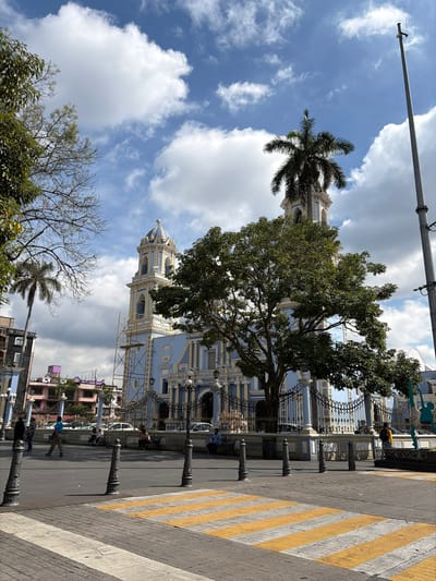 A light-blue church tower rises towards a partly cloudy sky. Tall trees obscure portions of the building. A crosswalk with yellow and white stripes dominates the foreground, flanked by decorative iron posts. People walk along the sidewalk beside a metal fence near the church. A palm tree and other foliage are visible in the background.