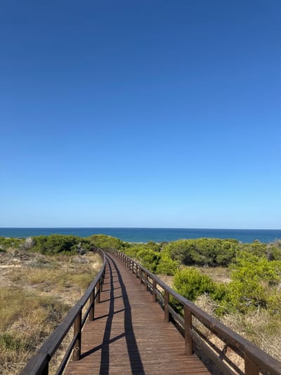 A wooden boardwalk curves through dry, sandy vegetation towards the sea under a clear blue sky in Guardamar del Segura, Spain. The boardwalk, constructed of dark wood planks, has railings on both sides and casts long shadows onto its surface. To the left and right of the boardwalk, the landscape is characterized by sparse, dry grasses and low-lying green bushes, with denser green trees further in the distance. The horizon is dominated by the vast expanse of the sea, a deep blue that meets the sky. The overall scene depicts a coastal natural setting, likely a protected area or a path leading to a beach. There are no people visible in the image.