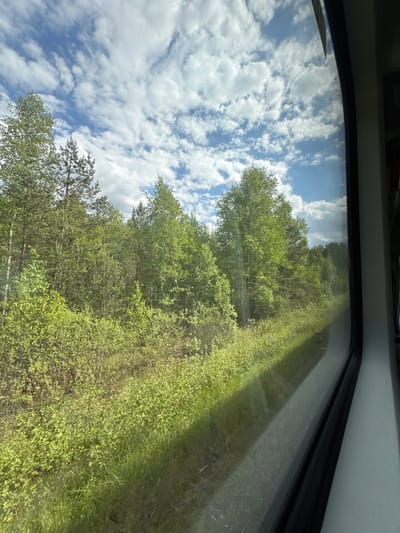 The image, taken from inside a vehicle, shows a reflection in a window. The reflection reveals a view of a forest on a sunny day with a blue sky and scattered white clouds. The location is possibly near Saulkrasti, Latvia, based on information provided. Details include green foliage, trees, and visible sky and cloud patterns. The vehicle's interior is visible along the frame of the window.