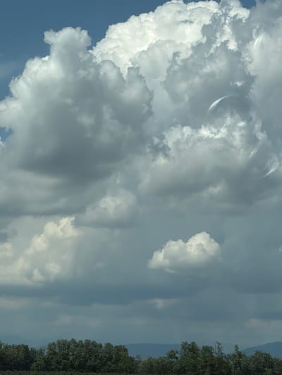 The image is a landscape photograph taken from a low angle, looking up at a dramatic sky filled with various types of clouds. The sky transitions from a clear, bright blue at the top to darker, more ominous storm clouds lower down. There are several distinct cloud formations, including large, puffy cumulus clouds and thinner, wispy cirrus clouds that have an iridescent, rainbow-like sheen. In the distance, a line of trees and hills is visible at the bottom of the frame, suggesting a rural or semi-rural environment. There are no people or specific man-made objects clearly visible in the scene. The overall impression is one of natural beauty and atmospheric dynamism. No specific landmarks of Risano or Risan, Italy are identifiable in this image.