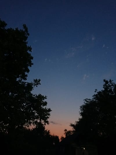 The image depicts a dusky sky with a gradient of deep blue to a faint orange near the horizon, suggesting twilight. Silhouetted against the sky are the canopies of trees on the left and right sides of the frame, with the branches and leaves clearly defined. In the lower portion of the image, a dark, indistinct line of foliage and a hint of a building or structure are visible, also in silhouette. There are no people, animals, or active events apparent in the scene. The setting appears to be a natural or semi-rural environment, possibly on the outskirts of a settlement, with the lighting indicative of the transition from day to night. No specific landmarks or identifiable features place this scene definitively in Beşik-Jon, Kyrgyzstan, beyond the prompt's assertion.
